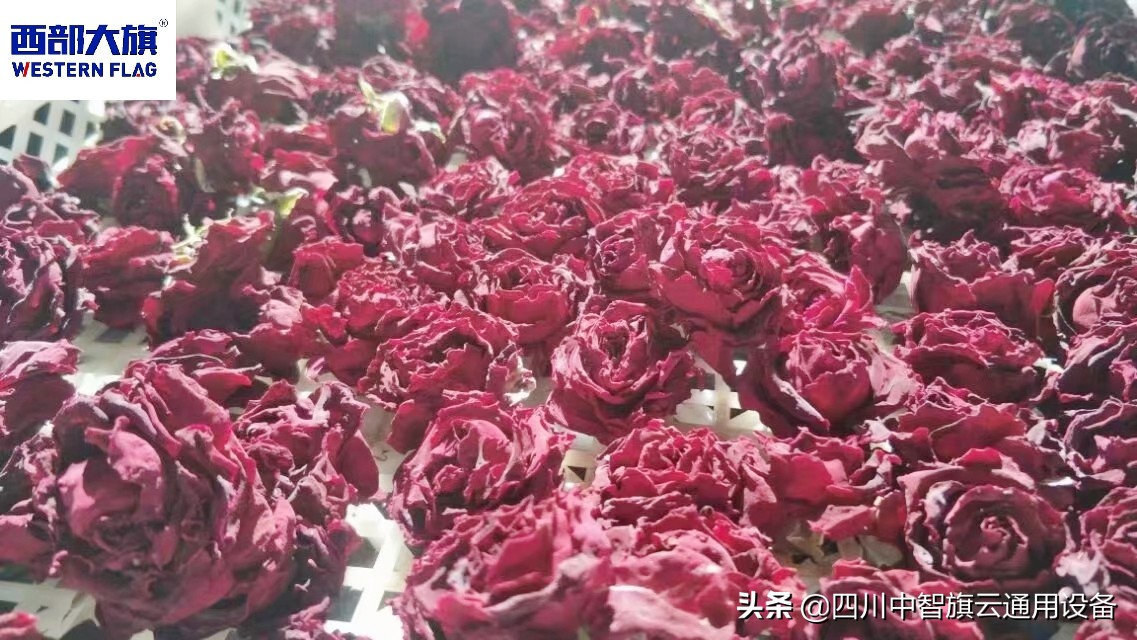 西部大旗烘干房,贵州玫瑰花烘干机价格表