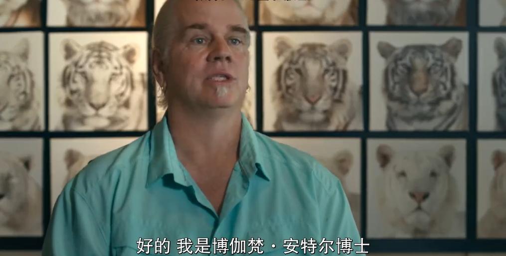 一夫多妻、*教邪***脑洗**、富豪失踪,你敢跟我说是真人真事?