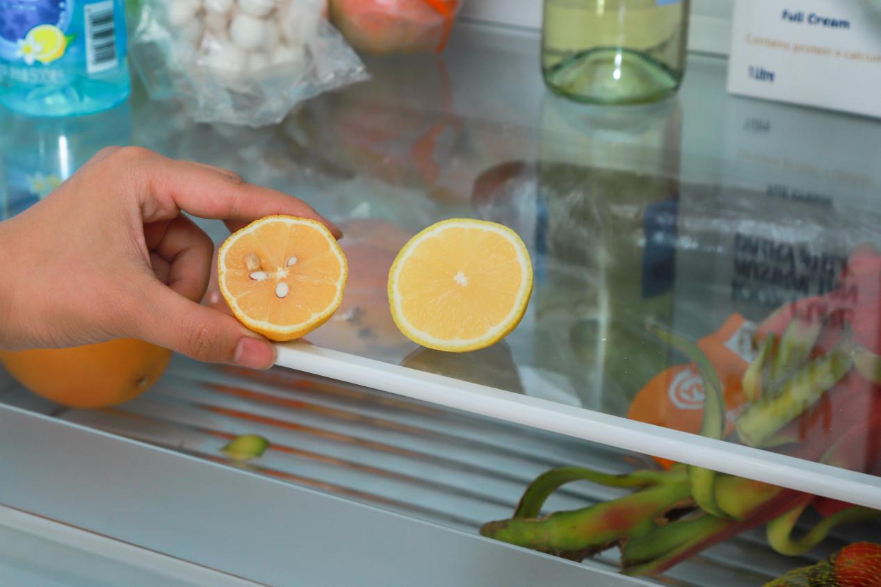 西门子生鲜冰箱,西门子冰箱是一线品牌吗