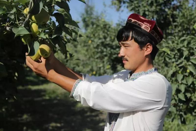 「暖冬行动送福利」库尔勒香梨免费送！跨越4000多公里的迷人果香，等您亲尝