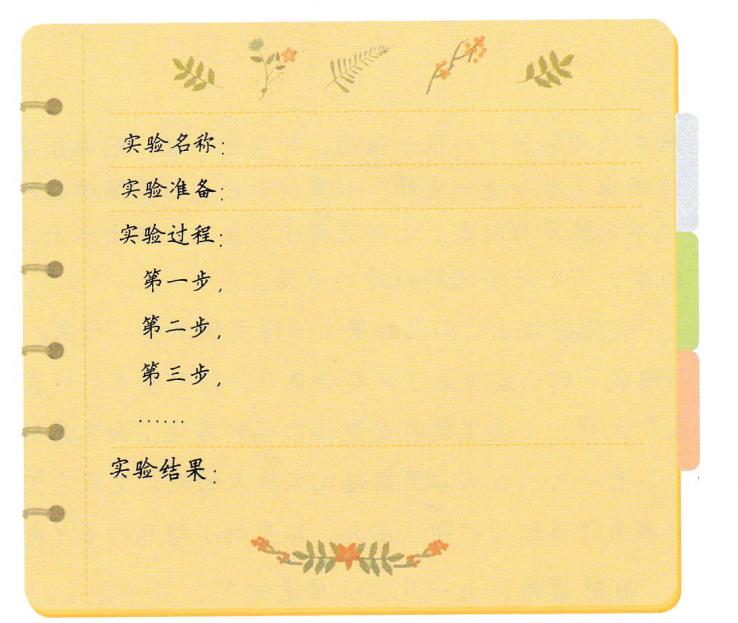 我做了一项小实验习作范文400字,习作我做了一项小实验作文评语