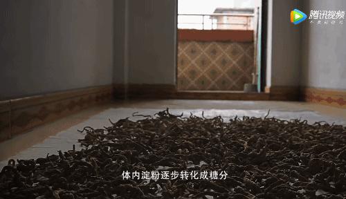 所有人都想请他来东莞拍「肉戏」