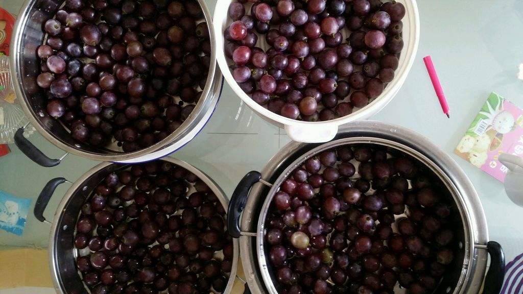 新鲜葡萄自做葡萄酒,葡萄制作葡萄酒方法