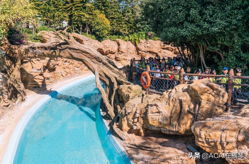 吃喝玩乐in珠海,珠海吃喝玩乐一体的地方