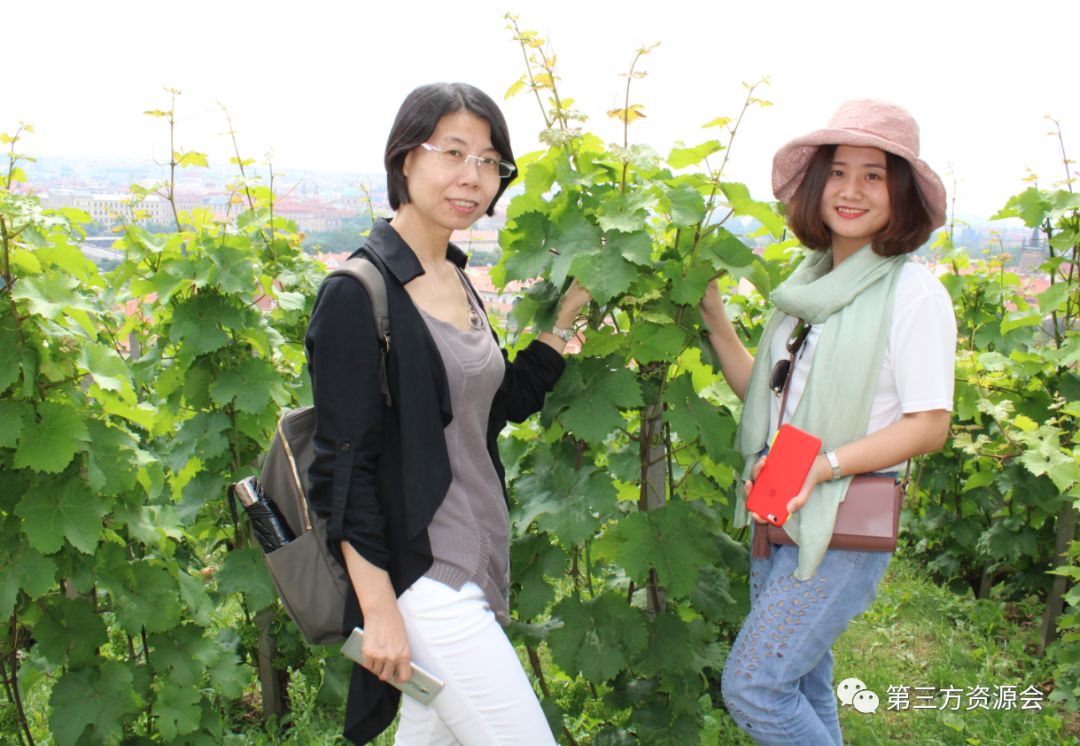 东欧匈牙利捷克,捷克奥地利维也纳