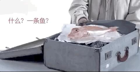 出国被海关劝退护照签证还能用吗,出国被海关劝返签证还能用吗