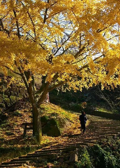十大悬崖玻璃栈道景点,有瀑布有山还有玻璃栈道的景区