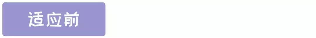 猫咪晚上睡觉太闹腾怎么办,猫咪晚上不睡觉一直闹腾怎么办