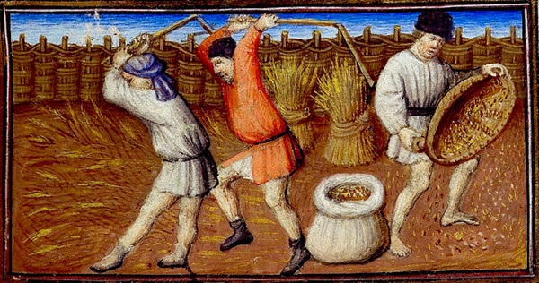 中世纪欧洲农民吃什么？蔬菜奶酪黑面包，偶尔来点鱼和肉