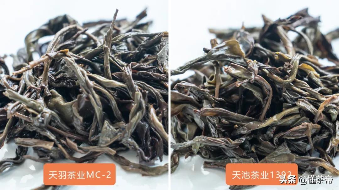 高端单丛蜜兰香,凤凰单丛蜜兰香的优劣区别