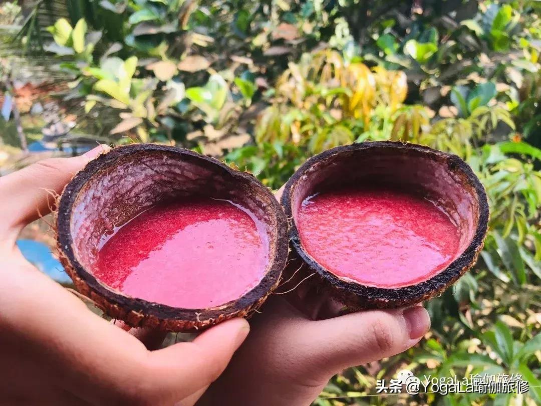 YogaLa2019印度南部阿育啡陀认证课程+排毒解压之旅