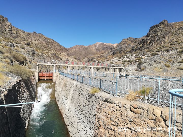 哈密戈壁之花图片,戈壁之花