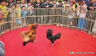 魏集古村落新年花灯,滨州魏集古村落春节旅游