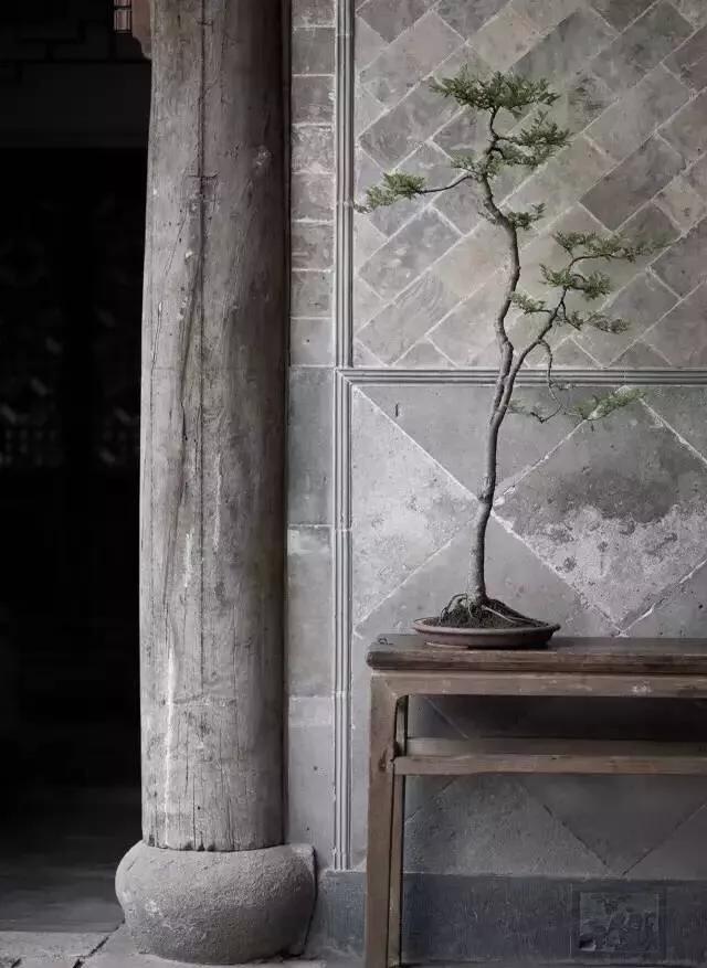 君子易处小人难防是什么意思,君子易处小人难防