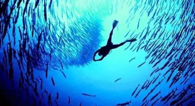 全球top是什么意思啊,全球top的作品