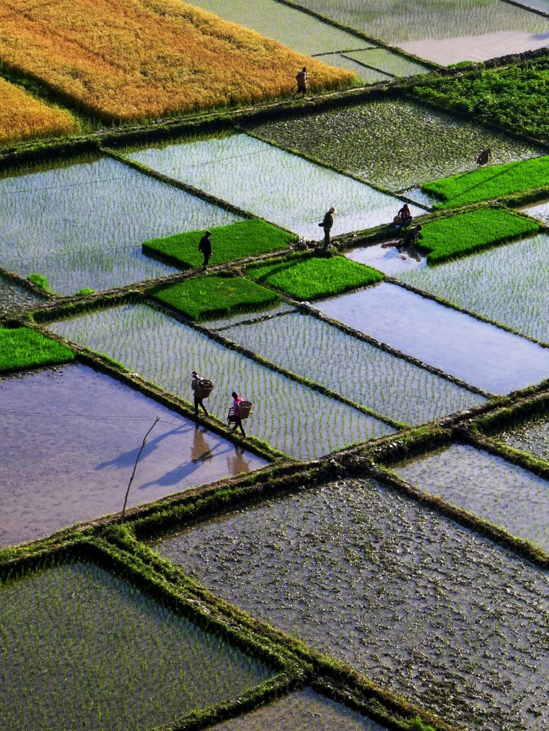 甘肃最穷的小城市,甘肃低调的小城市