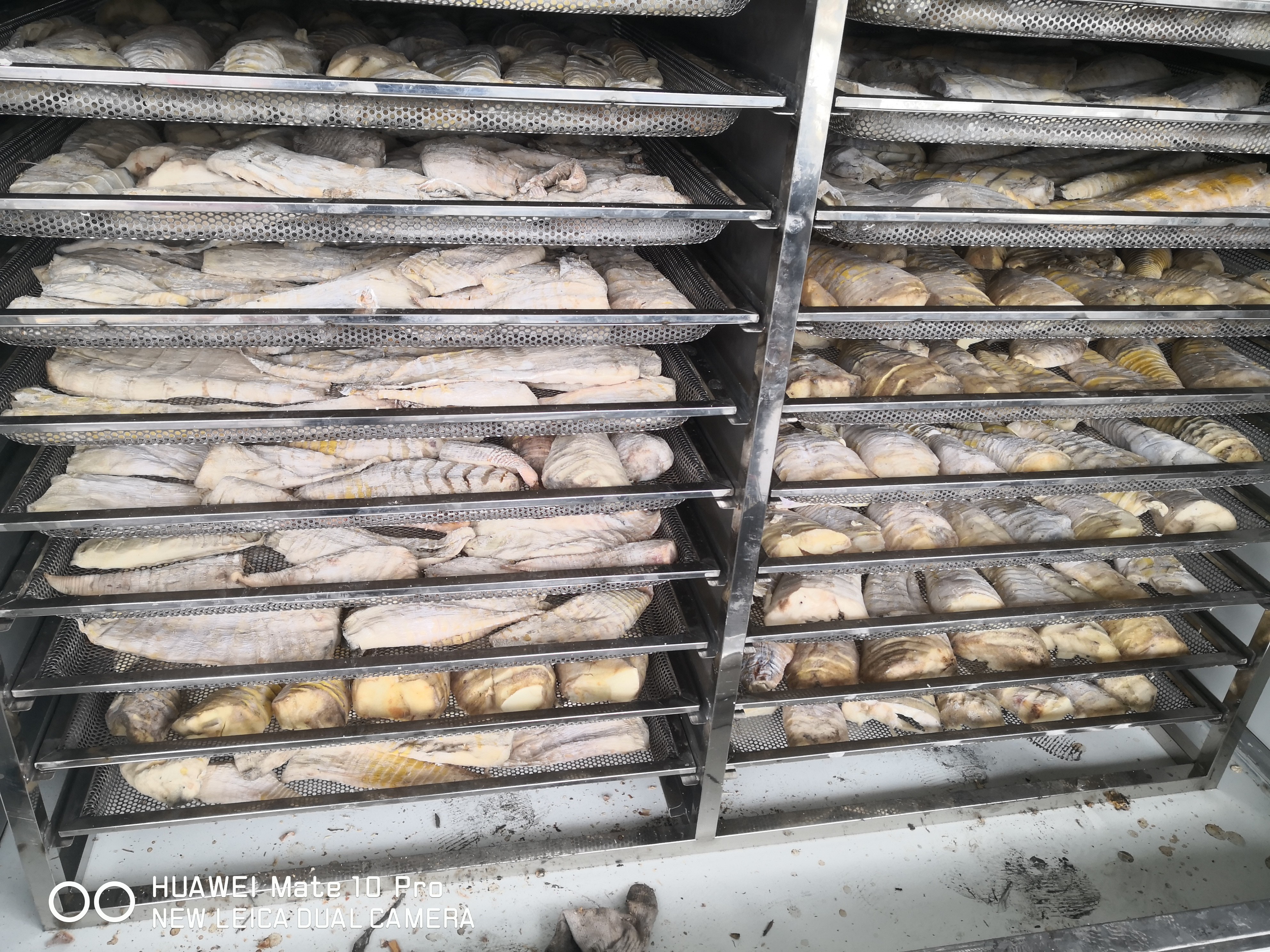 狗粮烘干设备哪家质量好,狗粮烘干设备定做