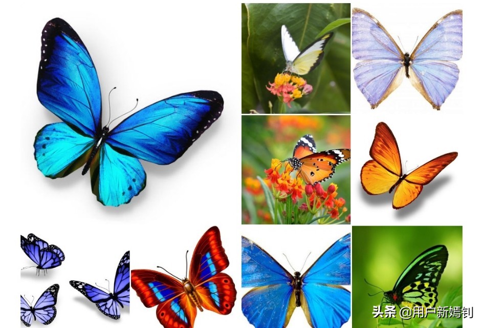 喜欢一个人得不到又放不下怎么办,喜欢她却得不到她