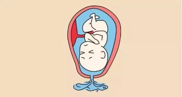 孕晚期注意事项，千万不可以掉以轻心！