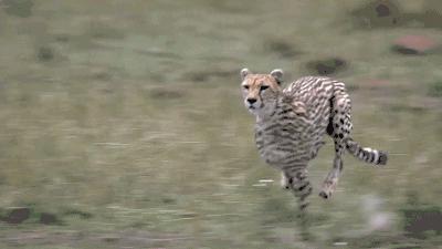 脱发真的很影响颜值么,脱发除了遗传还有什么原因