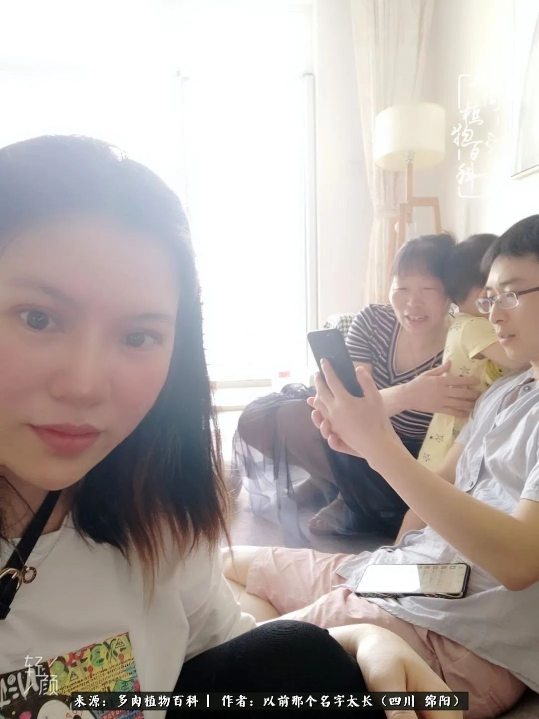 山地玫瑰夏天,夏季的山地玫瑰