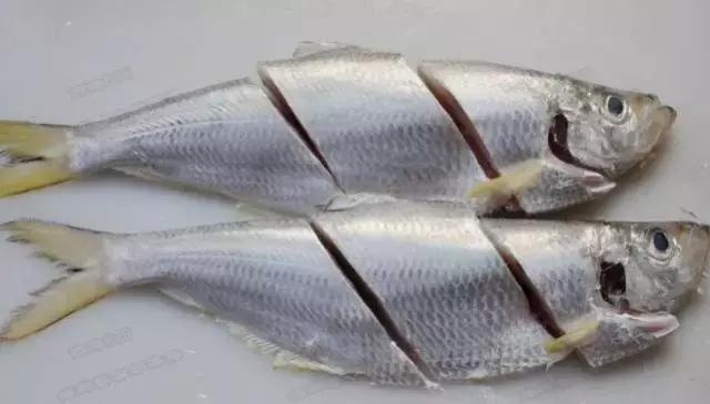 防城港怎么吃海鲜便宜不被坑,防城港干货海鲜有哪些