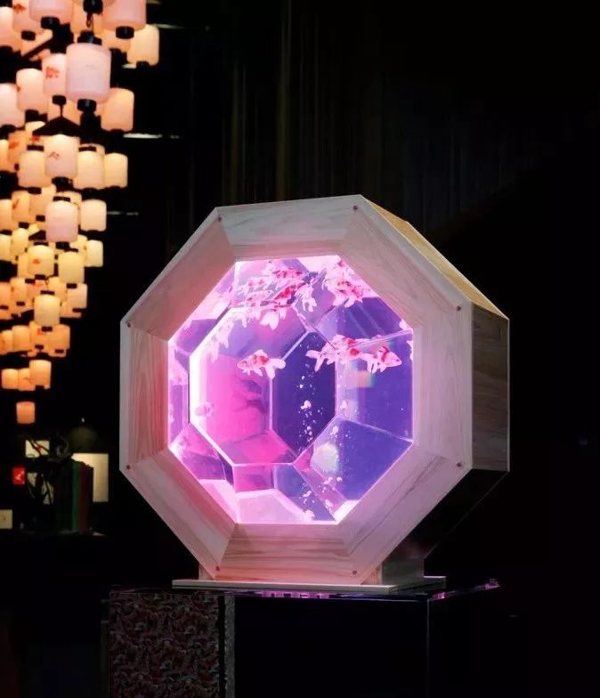 日本网红打卡艺术展,日本十大网红展