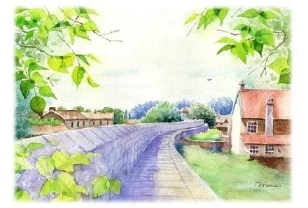 实用健康知识,健康知识老年人养生的十五点建议