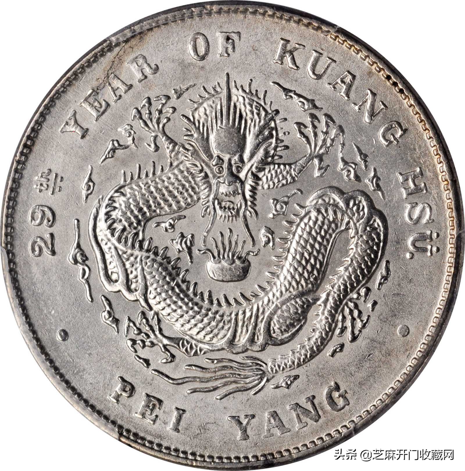 收藏银元能赚钱吗,银元收藏与投资在线阅读