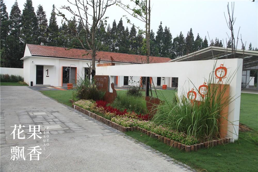 卖文化,卖创意,这家以柑橘为主题的农场好不正经