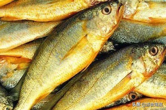 常见海鱼哪些好吃,常见的5种海鱼营养价值高