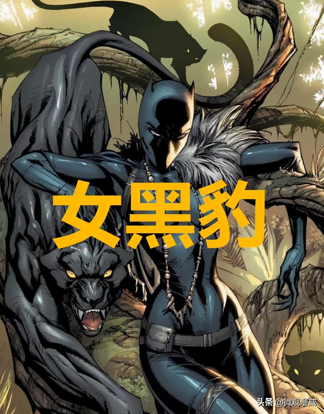 黑豹2苏睿被捅为什么恢复,黑豹2为什么心形草别人不能吃