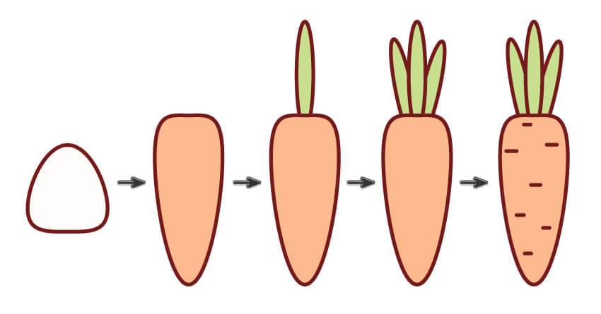 adobeillustrator怎么做毛绒小鸟,adobeillustrator画动物