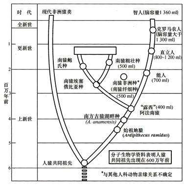 达尔文进化论被推翻的证据,达尔文承认进化论是错误的吗