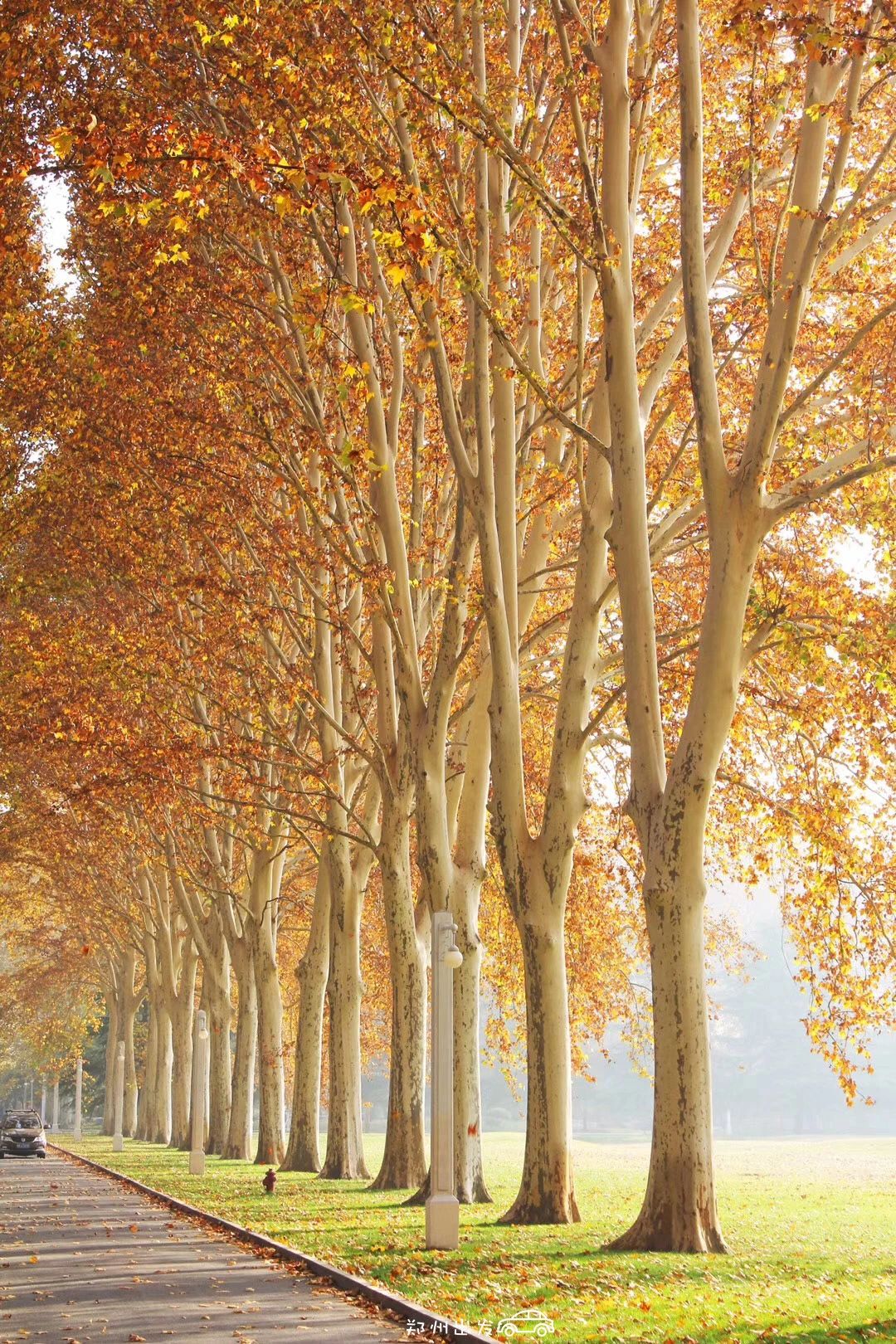 郑州漂亮的秋色风景,郑州的这些湖畔藏着最美的秋色