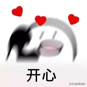 世界500强潍坊,潍坊入选高中500强