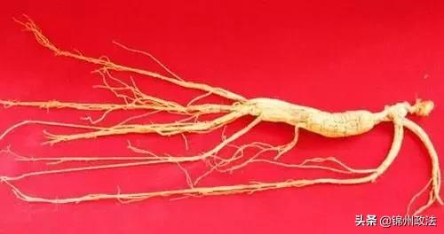 沈阳有什么特色农产品,辽宁省14个市县特产农产品