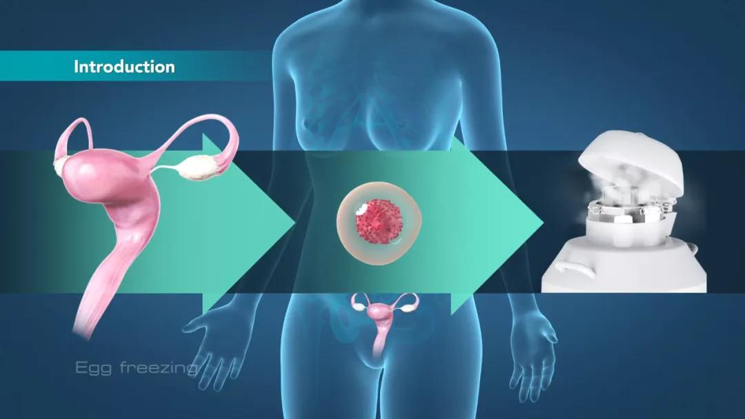 试管婴儿取完卵注意事项,试管婴儿促排多久可以取到卵