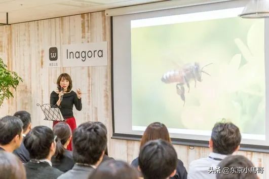 日本HACCI花绮低调、小众！吃、用、送礼两相宜！