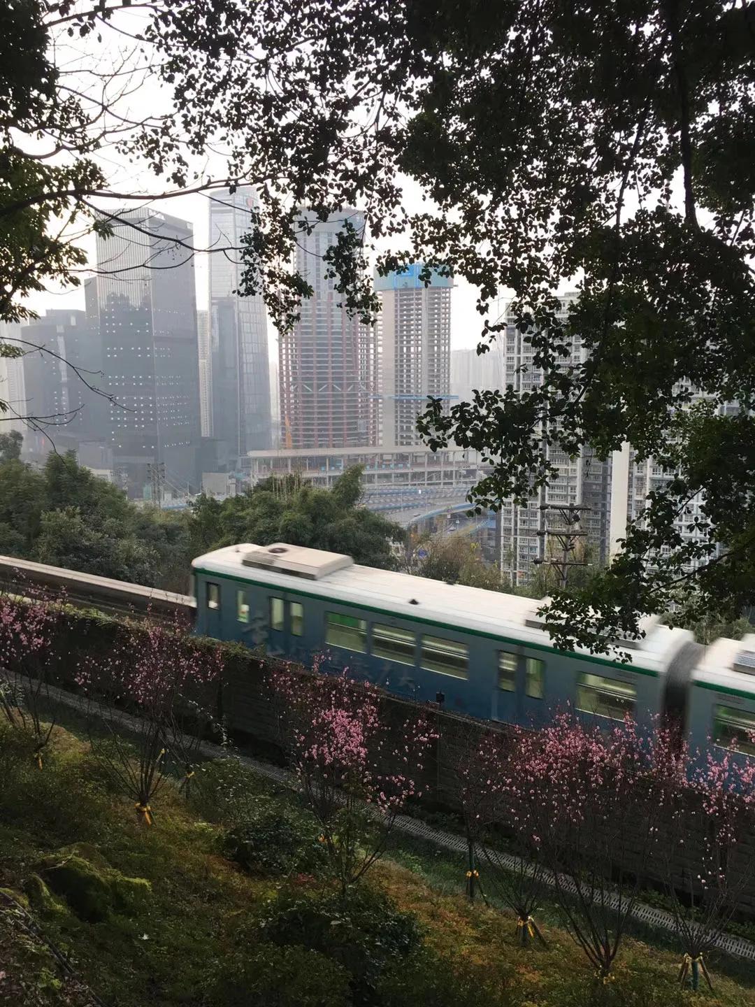 重庆大坪旅游街区推荐,重庆大坪周边游玩攻略