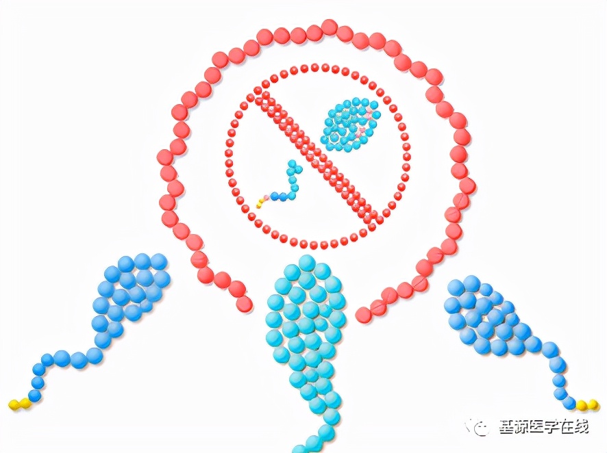 女性主动避孕方式,女性如何掌握避孕主动权