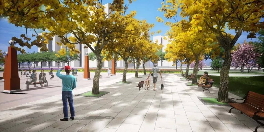 被盛赞“很精彩！很惊艳！很欣喜！”南充最美公园华丽来袭|DPC