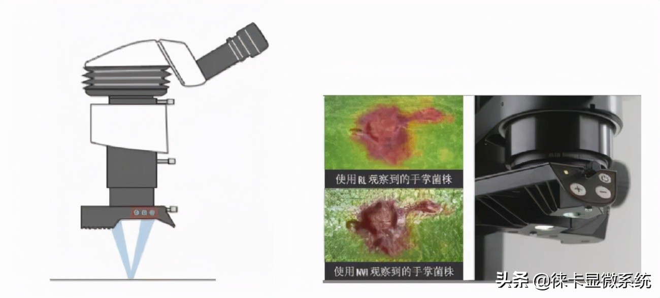 普通金相显微镜和徕卡金相显微镜,徕卡显微镜仪器操作步骤