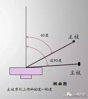 小原流插花入门,花意匠插花视频