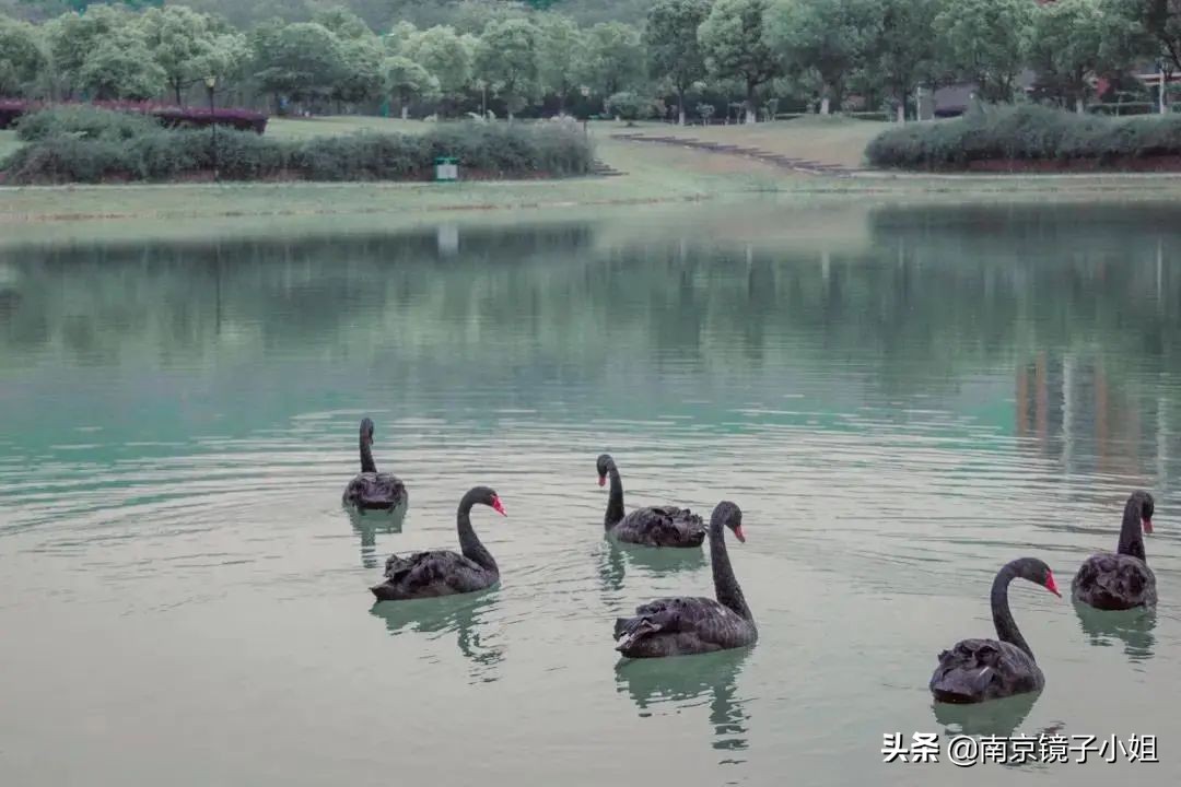 南京南广传媒学院消息,南京传媒学院南广学院是几本