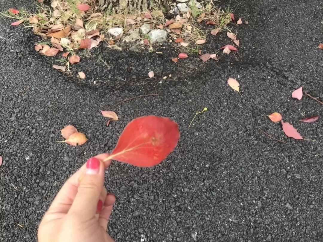 跟快递员谈恋爱是种什么感觉,喜欢快递小哥该怎么办