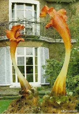 六一相册影集,六一照片专场