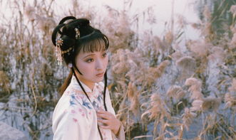 红楼梦贾宝玉看到囚车里坐的是谁,红楼梦贾宝玉竟乞讨到袭人家门口