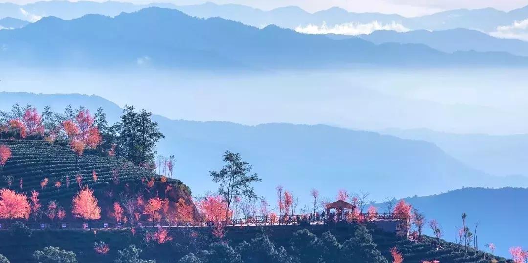 大理网红地方有哪些,云南大理网红景点洱海