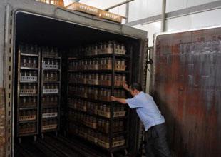 【原创】黑木耳代料栽培技术